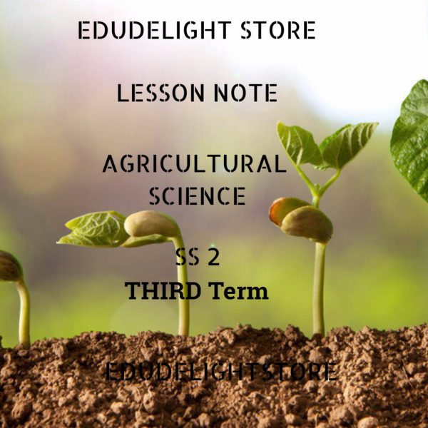 SS2 Lesson Note 3rd Term Archives - Edudelight Store